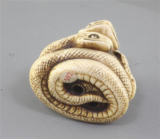 A Japanese ivory netsuke of the sansukumi (snake, frog and snail), 19th century, signed, 4cm (no. 592)